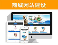 商城網(wǎng)站建設有哪些功能？